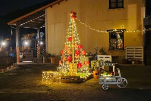 Navidad en Las Mimosas del Nalon